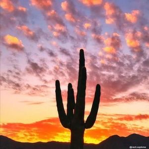 ~All Prices Are Negotiable ~